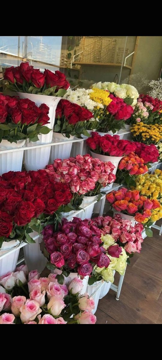 Bloomora80's tweet photo. Colourful flowers 🌼🌺🌸🏵️💐 https://t.co/oTgKofaicT