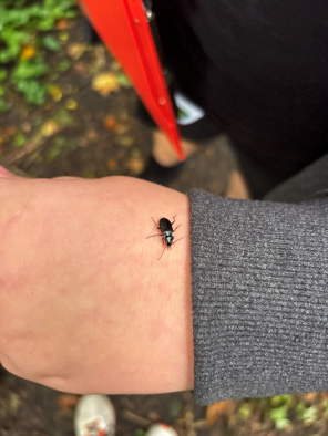 beechcliffe's tweet photo. 🌳🔎 Woodland Habitat Explorers!
Class 6 pupils took their learning outdoors at Buck Woods, carefully observing, listening and investigating the woodland habitat. 🪲🐞

#CarltonEdge #CarltonCurriculum #ExcellenceForAll https://t.co/vW3XxRz97p