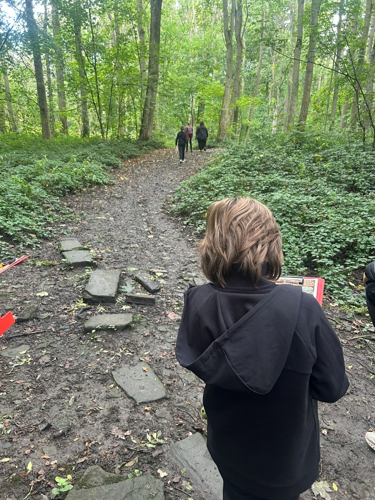 beechcliffe's tweet photo. 🌳🔎 Woodland Habitat Explorers!
Class 6 pupils took their learning outdoors at Buck Woods, carefully observing, listening and investigating the woodland habitat. 🪲🐞

#CarltonEdge #CarltonCurriculum #ExcellenceForAll https://t.co/vW3XxRz97p