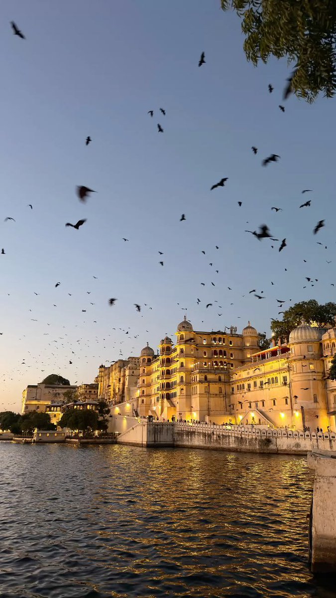 navierpsps's tweet photo. udaipur just gets it https://t.co/IONVRVYkDe