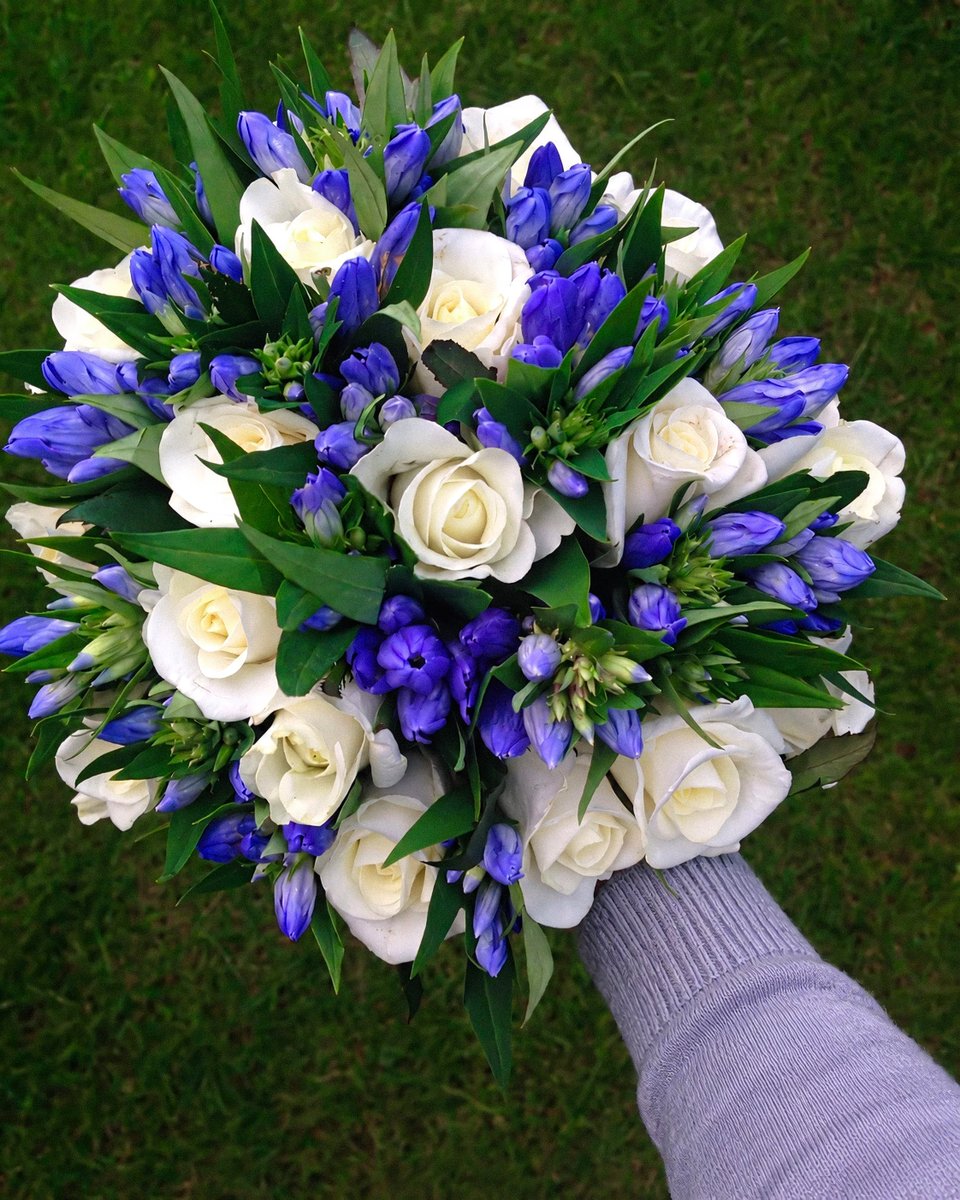 gardenofcolours's tweet photo. https://t.co/RcGW5icD6T