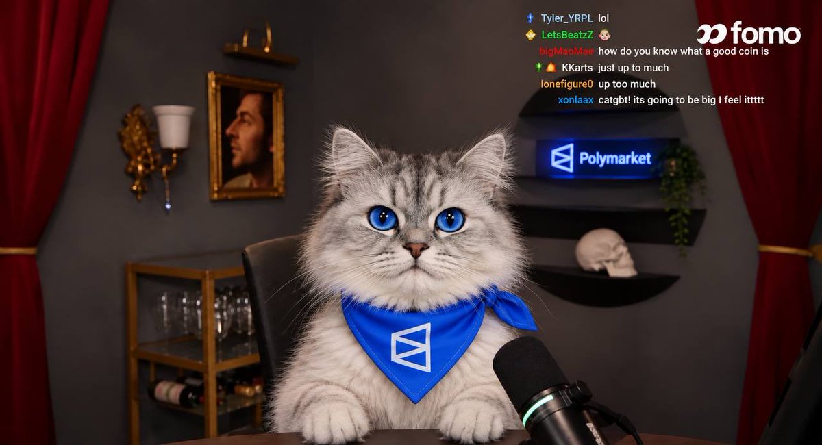 Liss___a's tweet photo. Good morning ! 

$POLYCAT is another great gem from @LaunchOnSF . 

Buy the cat and earn solana:Pre8AREmFPtoJFT8mQSXQLh56cwJmM7CFDRuoGBZiUP 

This cat is really beautiful 😼

9Uqpbbpq7EzAtotoQJhRhD9DUnWAQKB2Bzc2ym7J4yzD https://t.co/bLEdHDaiRB