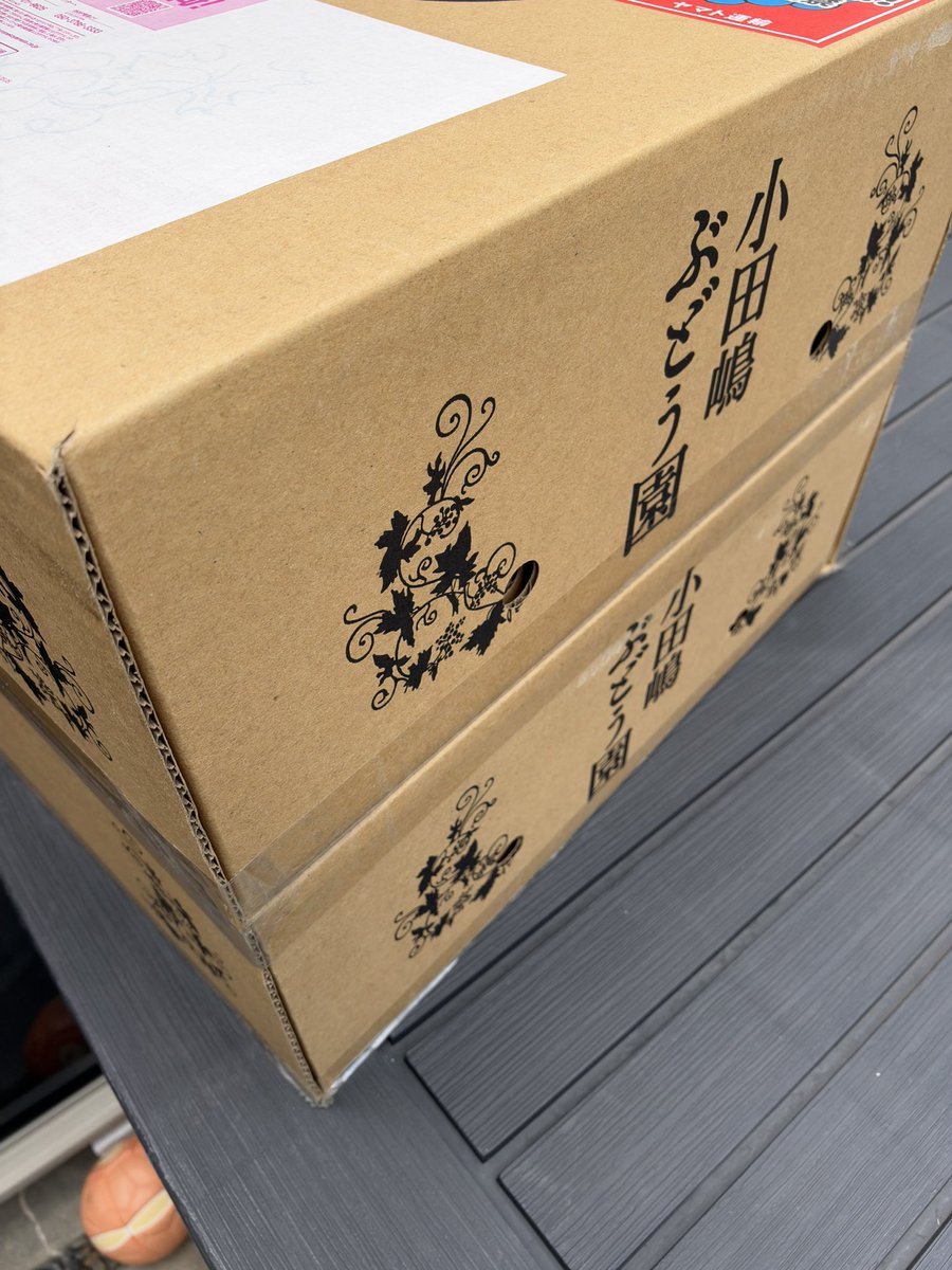 gekorin2023's tweet photo. 知る人ぞ知るぶどうなんだけど
これマジでうまい https://t.co/IcWz9SqCfi
