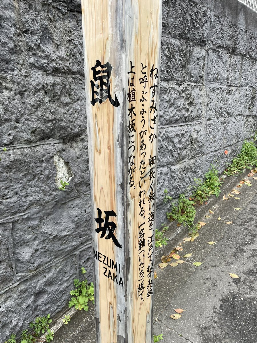 mugisuzu2025's tweet photo. 坂道コレクション
鼬坂の坂標は散歩のとき探したけ��ないらしい
さらに港区麻布周辺には狸坂、狐坂、牛坂、蛇坂があるみたい
動物がたくさん🦡なおアルファインには豚もいる https://t.co/hgxzckA7ys