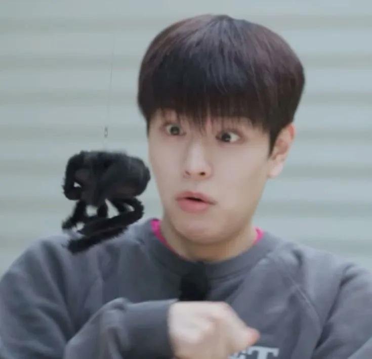pixelminnie2212's tweet photo. Seungshock 🫪 https://t.co/LUId71bHCZ