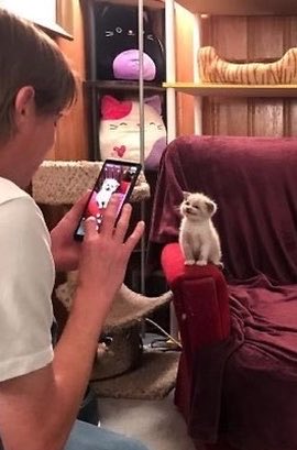 afialpner's tweet photo. คุณหนูน้องเจนคะมาให้แม่ถ่ายรูปหน่อยยย

#TheChemistrySeries https://t.co/cuKZhpfEOX