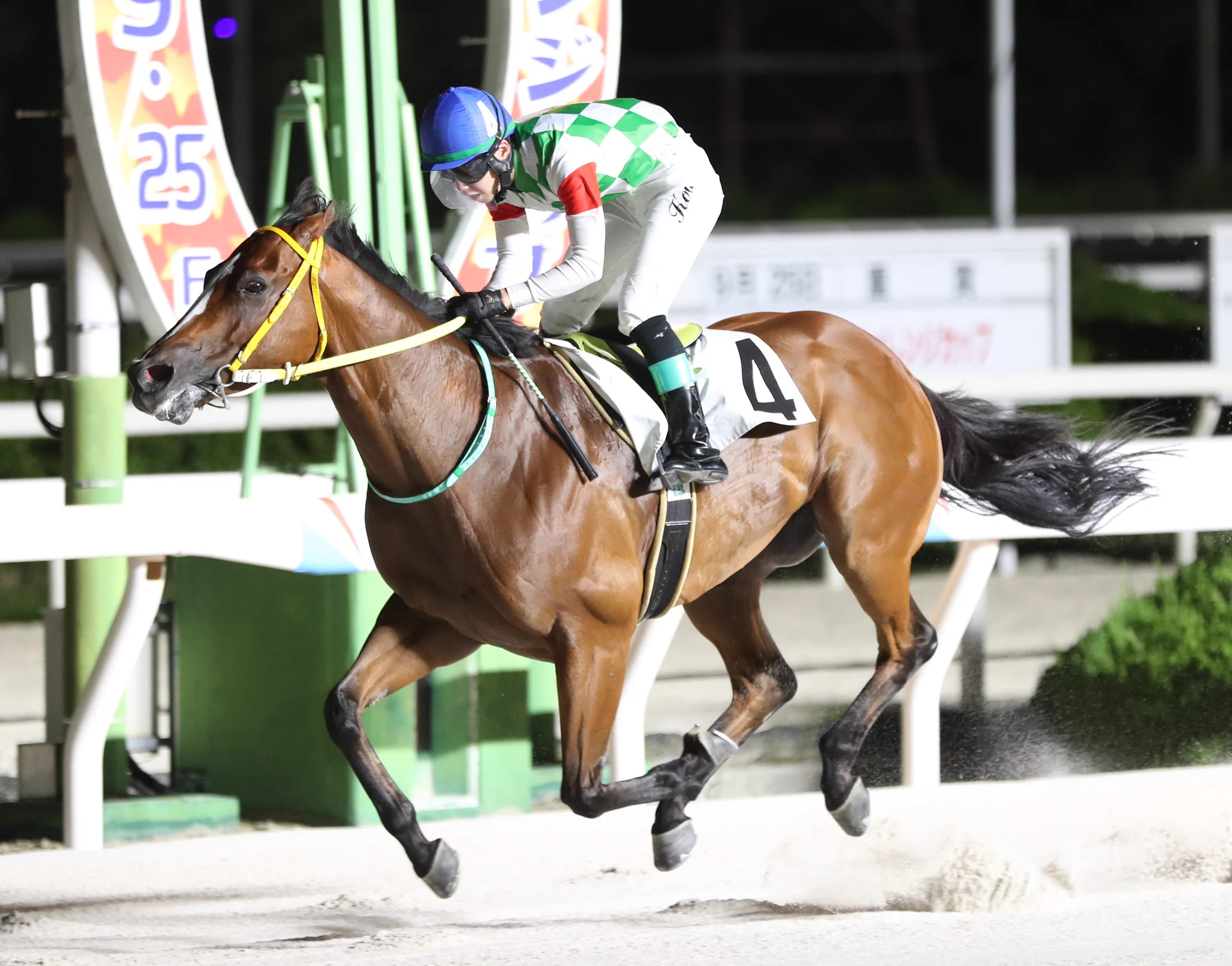 スポニチ競馬Web🐴 na platformě X: „【#阪神アーバン競馬】 9Rでは