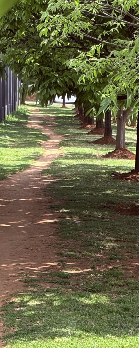 Grippa77's tweet photo. KeepMoving 7k with Jax @JacquiG17406236 #MapMyRun #Brooks #RunFree https://t.co/kTSwKaBBgl