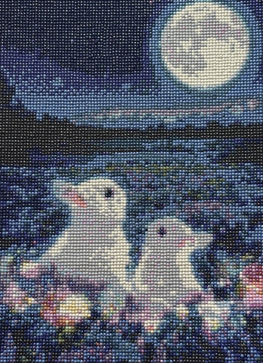 fl_88623's tweet photo. 今夜の予報は曇り☁️、お月見は諦めとったけど、雲間から��麗なお月様😊
少し月光浴しましょう
隠れちゃったら ＃ダイヤモンドアート のお月様を楽しみましょう♪🐇

＃中秋の名月 https://t.co/U7uCWA1h7r