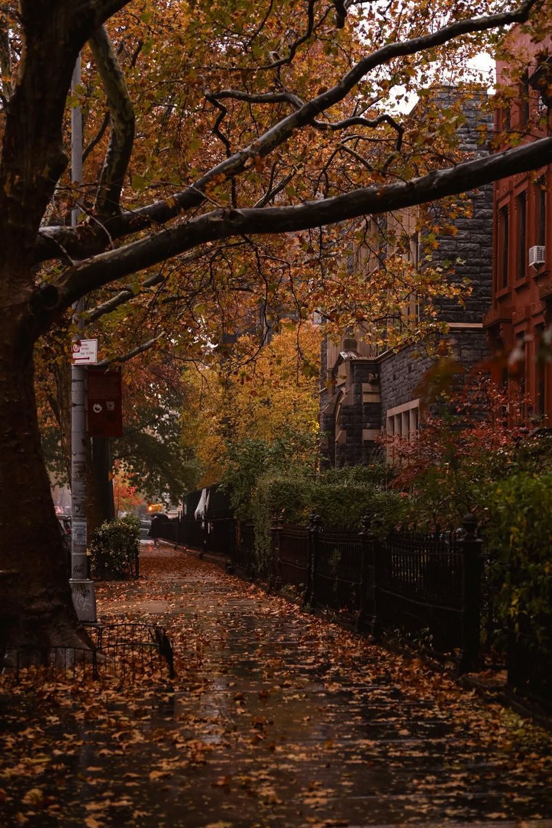 Alina_bloom79's tweet photo. Autumn is here.. https://t.co/AeuIK4W7tS