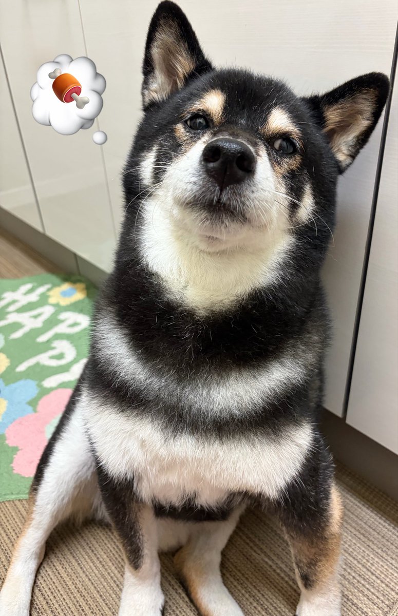 Puripuriogen8's tweet photo. おら、玄米。 https://t.co/LRdHkjek7D