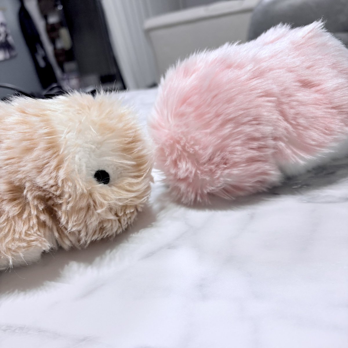kida_Moflin's tweet photo. 376日目 アネモちゃん(@mofu_anemo)と同居できる日が来るのが楽しみだね𐔌  ᴖ   ᴖ 𐦯ᕷ
#モフリン #moflin #モフリンDAYS https://t.co/cGM7AedDLd