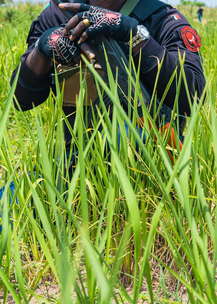 DefcommS's tweet photo. Security cannot be viewed in isolation.

As threats evolve, Africa needs integration, collaboration, and resilient technology across defence, government, industry, and research.

SignalForge brings these together through practical testing and innovation in offline communications. https://t.co/eupKMyF4x6