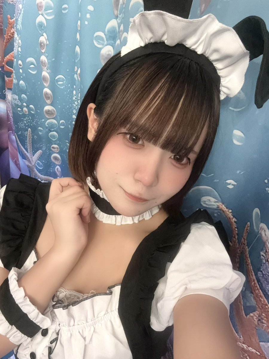 lamule_nayuta's tweet photo. 今度、いつきみに会えるのかな？🐰🌙 https://t.co/MgOrlaYWE0