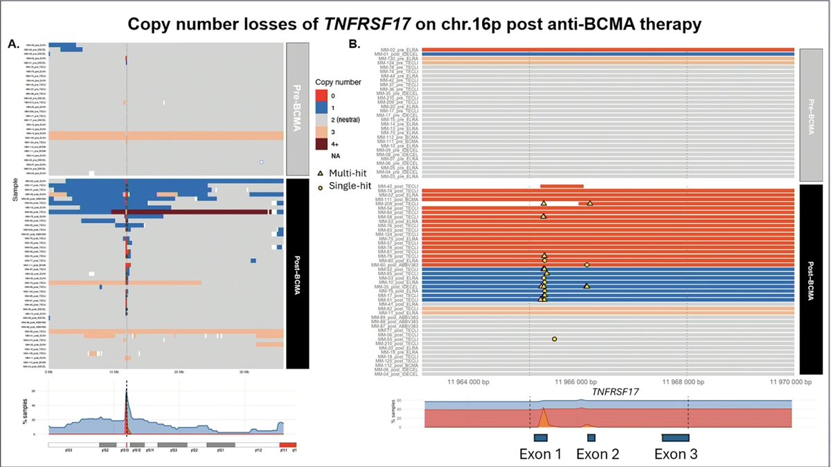 Samer Al Hadidi, MD,MS,FACP (@HadidiSamer) — #IMS26 — Copy number losses of TNFRSF17 on chr.16p post anti-BCMA therapy