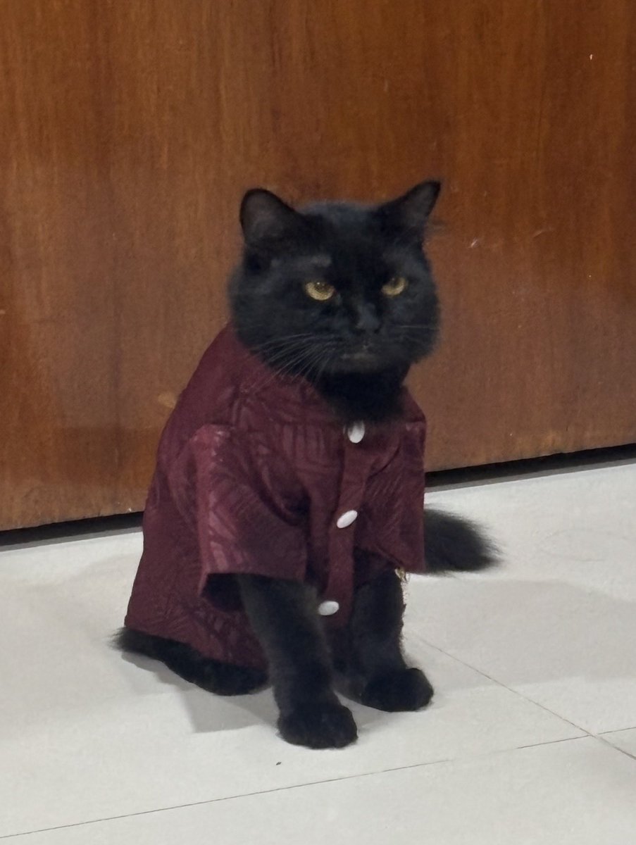 moominahopes's tweet photo. [HELP RT/LIKE]
Guys, aku mau minta bantuan, tolong bantu RT ya 🙏🏻🥺

Kucingku sedang sakit dan dokter bilang dia butuh operasi. Kami ingin banget menyelamatkan dia, tpi biaya operasinya cukup besar

Kalau ada info klinik murah, cicilan, rescue, atau bantuan yg lain, please DM aku https://t.co/uT17eX69Ly