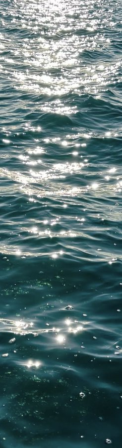 Elsie65789's tweet photo. sunlight on the sea 🌊 https://t.co/A77ccU4JNJ