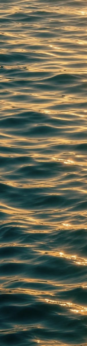 Elsie65789's tweet photo. sunlight on the sea 🌊 https://t.co/A77ccU4JNJ