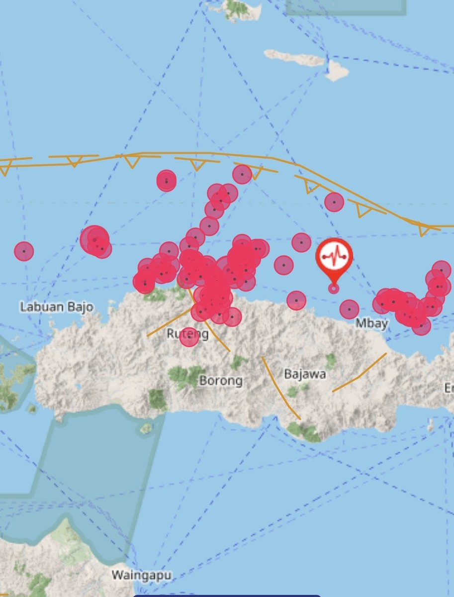 infomitigasi's tweet photo. GEMPA BUMI NTT MEMECAHKAN REKOR DENGAN GEMPA SUSULAN TERBANYAK.

Gempa bumi magnitudo 7,7 yang mengguncang Flores, Nusa Tenggara Timur (NTT) pada 15 Agustus 2026 sangat berpotensi memegang rekor sebagai salah satu gempa dengan jumlah susulan (aftershock) terbanyak di Indonesia.
Berdasarkan data Badan Meteorologi, Klimatologi, dan Geofisika (BMKG) hingga hari ini, Jum'at 25 September 2026, gempa tersebut telah memicu lebih dari 17.442 gempa susulan. Angka ini sangat fantastis dan jauh melampaui rentetan gempa susulan pada kejadian-kejadian besar sebelumnya di Indonesia.
Sebagai perbandingan dengan gempa besar lainnya di Indonesia:

 * Gempa Ambon (2019): Sempat menjadi sorotan karena jumlah gempa susulannya yang sangat masif, yaitu mencapai sekitar 3.089 kali.

 * Gempa Cianjur (2022): Tercatat memiliki sekitar 400-an gempa susulan.
Mengapa gempa NTT memicu belasan ribu gempa susulan?

Menurut para ahli seismologi, fenomena ini adalah proses alamiah bumi untuk kembali mencari keseimbangan setelah melepaskan energi yang sangat besar pada gempa utama (Hukum Omori-Utsu). Wilayah NTT dan Laut Flores berada di kawasan subduksi dan sesar yang sangat aktif, sehingga penyesuaian kerak bumi pascagempa M7,7 tersebut memakan waktu lama dan menghasilkan ribuan patahan kecil yang terekam sebagai gempa susulan.
Meski sebagian besar dari 11.000 lebih gempa susulan tersebut bermagnitudo kecil dan hanya tercatat oleh alat seismik, BMKG mencatat setidaknya ada 165 gempa susulan yang guncangannya cukup kuat dan dirasakan langsung oleh masyarakat.