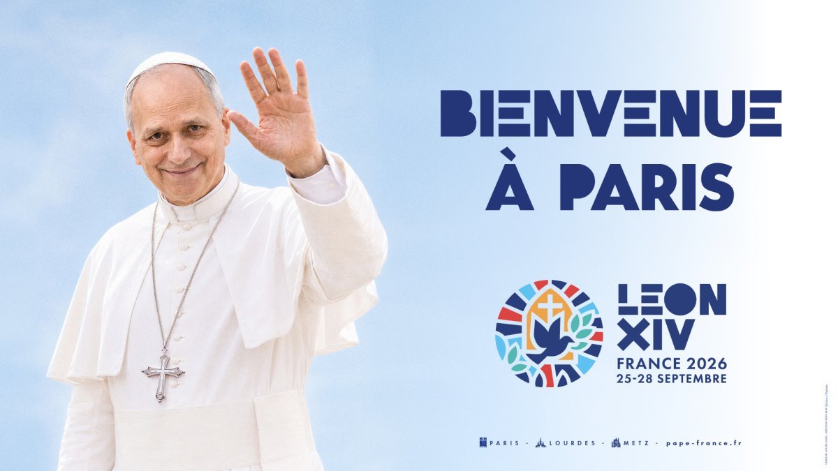 BenjolATP's tweet photo. Journée mondiale des divins chauves https://t.co/easOfNO6Cp