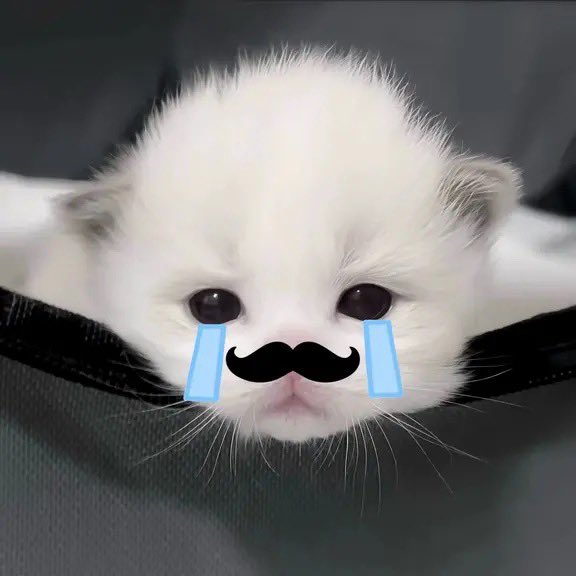 SoftMiseryToT's tweet photo. 我发现我对朋友太过热情了 她们根本不想搭理我 给她们分享视频从来不看 心里不舒服但还是尊重她们 能不能对我好一些呀 https://t.co/IZ4Biaouun