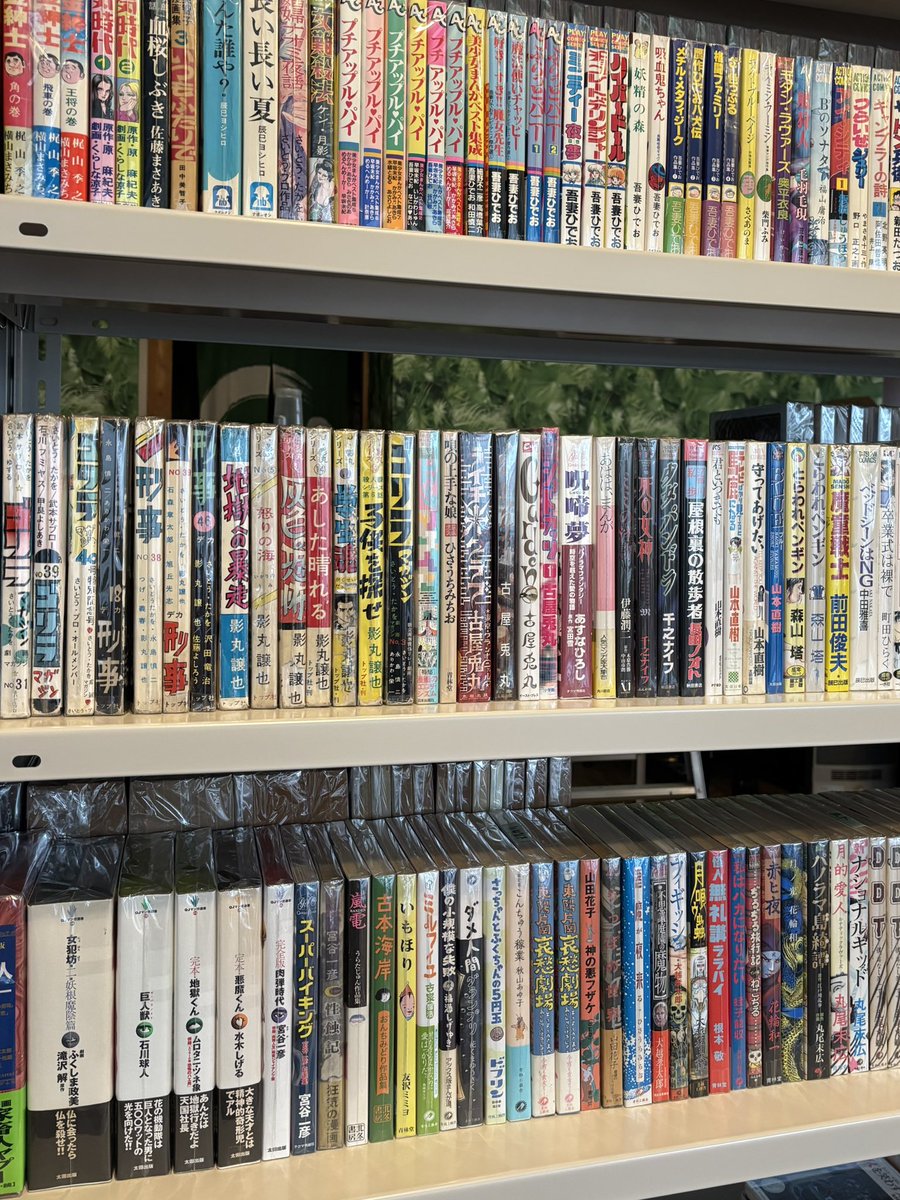 kosho_mirokudo's tweet photo. 手前味噌ですが、なかなかいい漫画が揃ってます！！！
#漫画 #古書 #古��店 https://t.co/Uu4eagwVlb