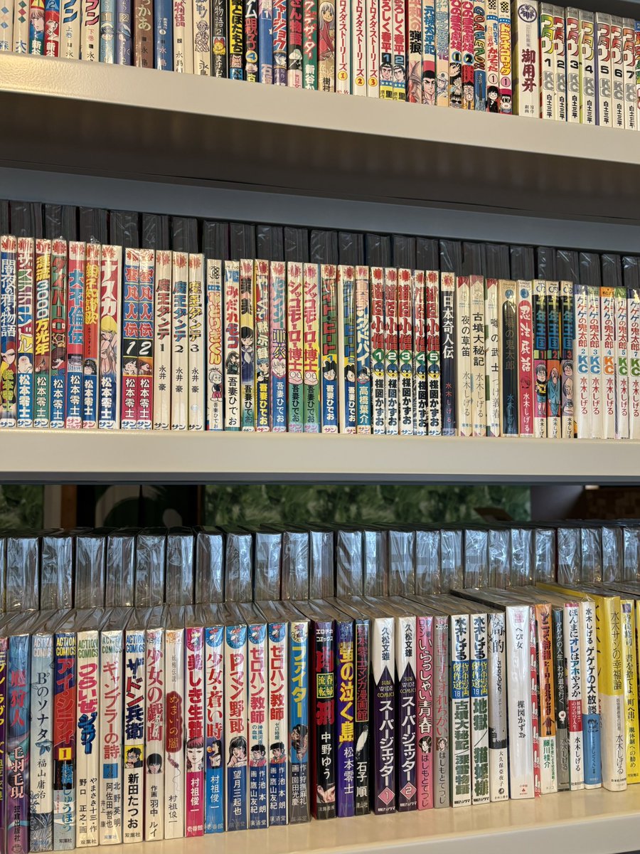 kosho_mirokudo's tweet photo. 手前味噌ですが、なかなかいい漫画が揃ってます！！！
#漫画 #古書 #古��店 https://t.co/Uu4eagwVlb