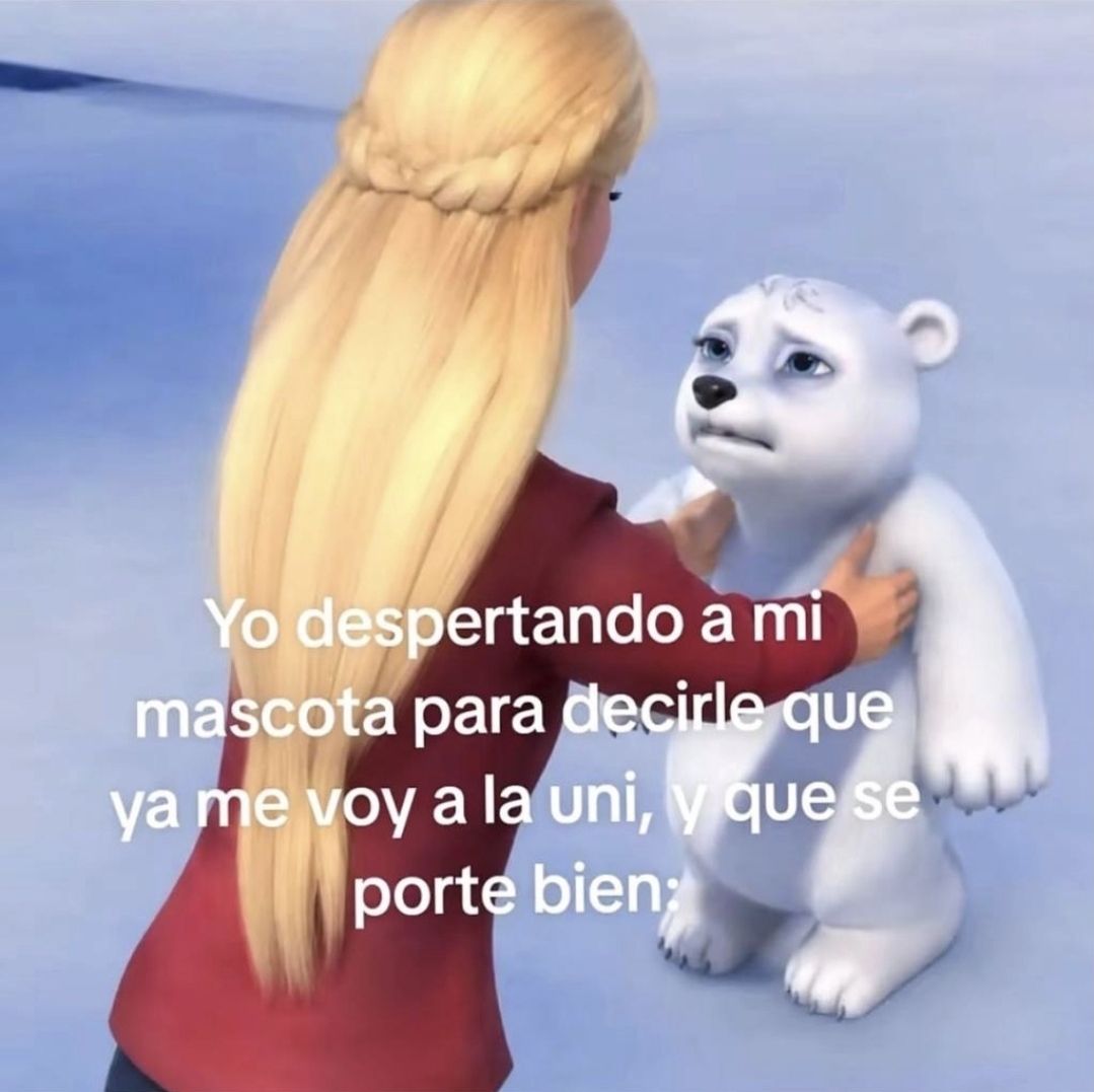 wikipistacho's tweet photo. https://t.co/JSk0ucvyPO