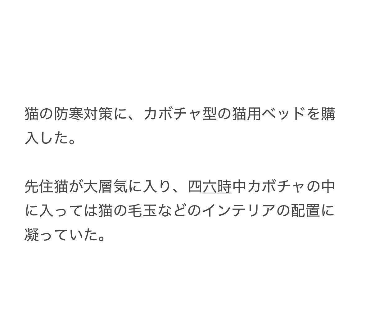 yalalalalalala's tweet photo. 【猫用のベッドの注意】 https://t.co/boKMYcBoDM