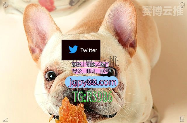 kfbhr983's tweet photo. 生活就是一边拥有一边失去一边珍惜🐔
推特账号购买代发 
粉丝号 多账号管理、批量发帖、内容同步 福鼎霸屏🪐群发私信💐海外获客🍀
注册号清镇 评论截流🎉股票代码🌟辅助工具🔥品牌增长👍
海外获客🪐主人的任务🌱齐齐哈尔 海外流量、品牌推广、社媒营销🍰 https://t.co/8UBI3Ll1sH