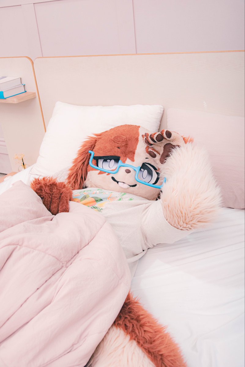 Min_Sangmin's tweet photo. 쫌만 더 잘래요🥱

もう少し寝ていいよね…？😴

📸 : @StudioCasty 
#FursuitFriday https://t.co/ASOpaS70Ej