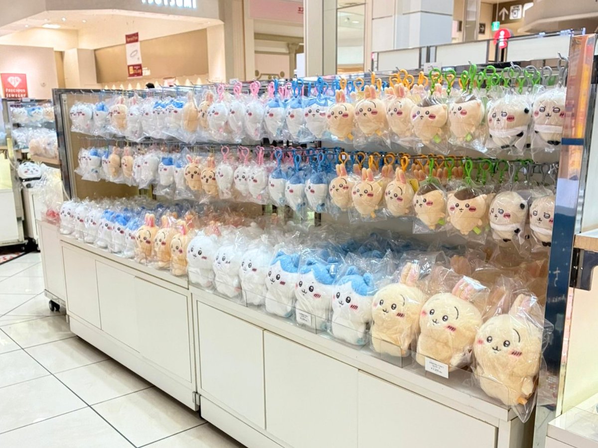 chiikawa_popup's tweet photo. ＼ちいかわ POP UP STORE／

『ちいかわ POP UP STORE』
愛媛県にて本日より開催🎵

💫会場
　イオンモール新居浜 サウスコート

💫開催期間
　2026年9月26日(土)～2026年10月12日(月祝)

🔍詳しくはこちら
　https://t.co/8EbczPRLkb

#ちいかわ https://t.co/YiacTAWacb