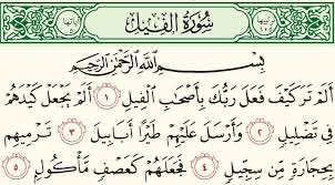 1_allstore's tweet photo. اللهم عجل بعذاب وهلاك الحوثي ومن ناصرهم ومن آزرهم ومن احتضنهم ومن رحب بهم ومن صفق لهم ومن يمدهم بالسلاح والعتاد ومن يدعي لهم ،اللهم عذاباً يسمعه أهل السماوات والأرض عاجلاً غير آجل يارب العالمين. https://t.co/vzqgz9kZKa