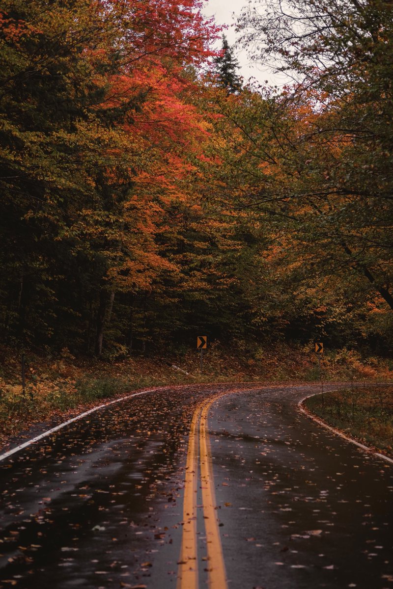 Alina_bloom79's tweet photo. Autumn is here.. https://t.co/AeuIK4W7tS