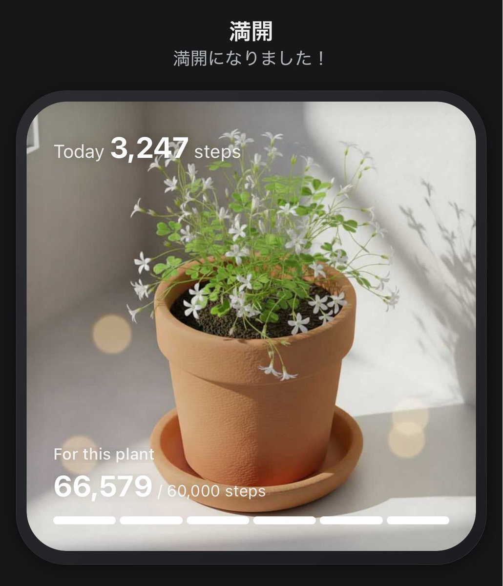 yonaka_docca's tweet photo. #PixelPot
歩いて植物育成中🌱
咲いたー！ https://t.co/WhcorshzOv