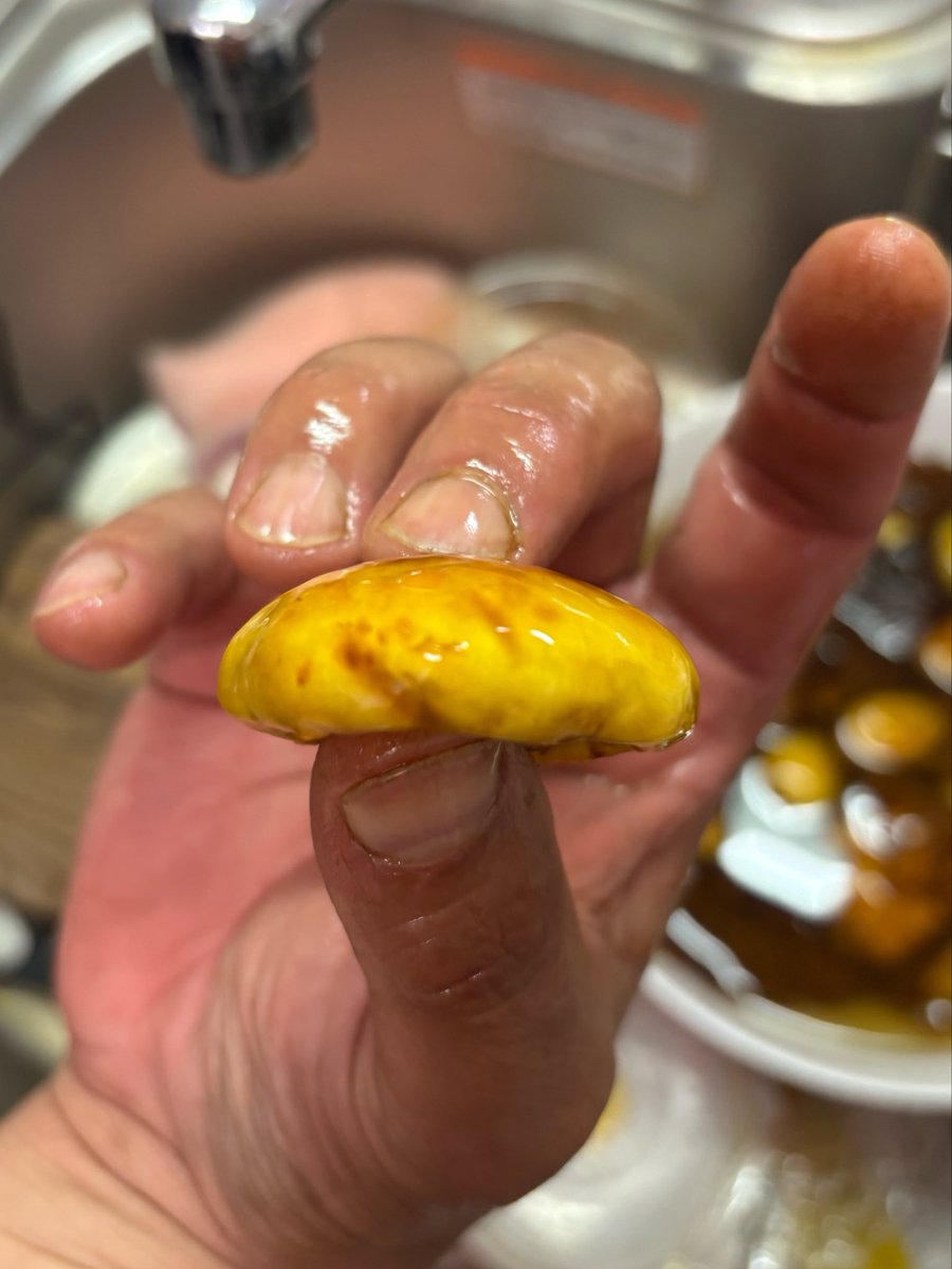 ck323cm_2's tweet photo. 【キノコ博士求む】
旦那が会社でキノコをもらってきました。
会社の人は「食べられる」と持ち帰って行ったそうですが、本当に食べられるキノコでしょうか？
有識者の方いましたらお願いします🍄🙇‍♀️

ちなみに生えていた場所は倒木に生えていたそうです⚠️ https://t.co/tvtn9oxG9j