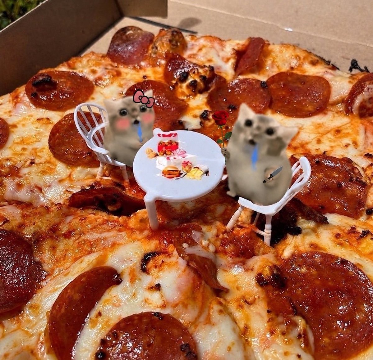 droolingcatCTO's tweet photo. https://t.co/DydeOdVq2i