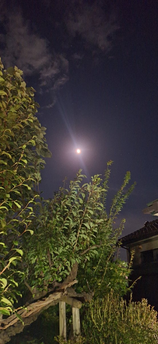 mimishop222's tweet photo. 家の中庭から中秋の名月🌕が見えたのでパチリ📸
秋の夜が長い気がする今日この頃です

ここで1句🍁🍂

秋ふかし隣は何をする人ぞ(松尾芭蕉)
 #中秋の名月 https://t.co/AcBcpyB1ZQ