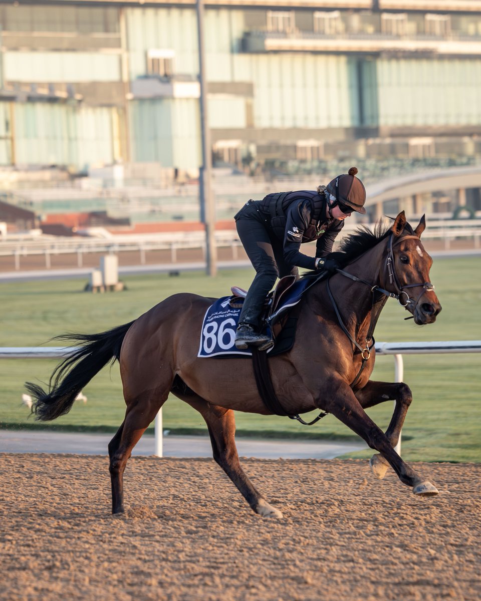 RacingDubai's tweet photo. Good luck to our #DRCgrads running @NewmarketRace today:

🐎 Audience (below) /Talk Of New York - G2 Joel Stakes, 6pm UAE https://t.co/TDPgamfj4Z