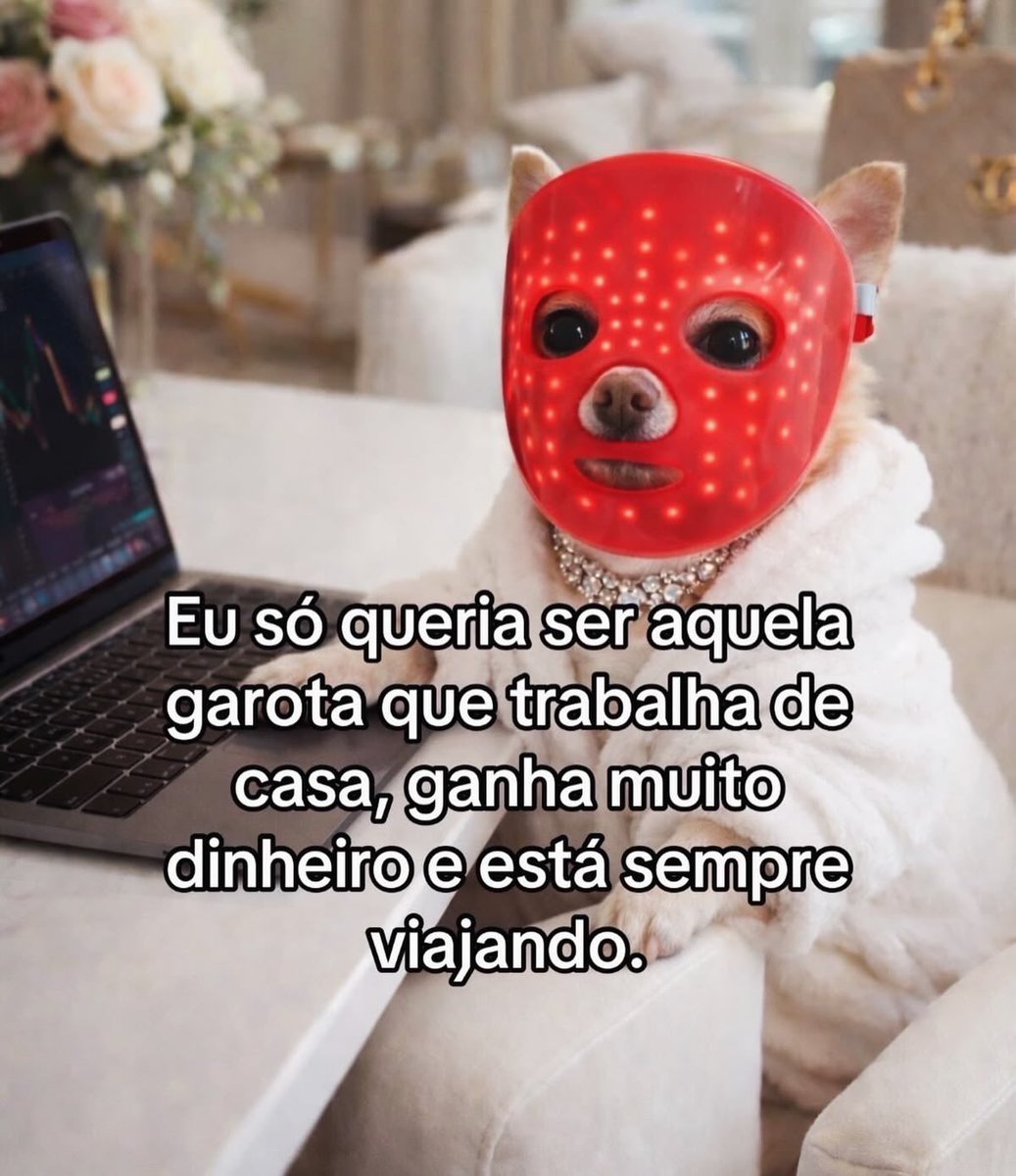 paginalixo1's tweet photo. https://t.co/VtzkS0MqS6