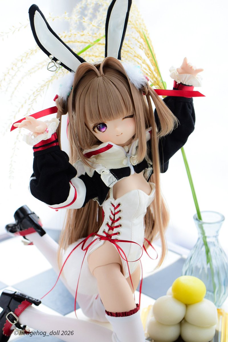 hedgehog_doll's tweet photo. 😉「お月見ですから。うさぎ、してます🐇🌕」

 #らな様  #ミシゴ服  #はりせんっ子 https://t.co/NPxqHFGfG2