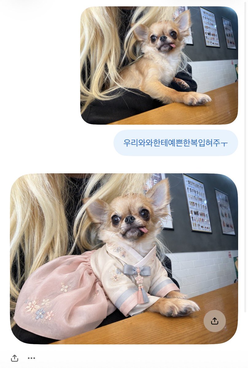 HyEonfte's tweet photo. 다들즐추다~~~~👩🏻‍❤️‍💋‍👩🏼👩🏻‍❤️‍💋‍👩🏼💝💝💝💝 https://t.co/q2UH2zhlS3