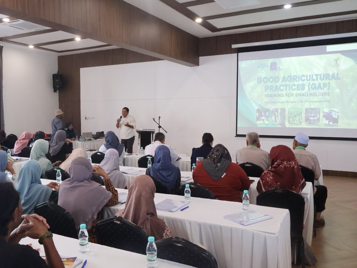 CPOPC_NET's tweet photo. CPOPC has successfully concluded its Good Agricultural Practices (GAP) Training for Smallholders in Teluk Intan, Perak, Malaysia, in collaborating with MPOB Malaysia  and supported by RPN Indonesia , bringing together around 80 independent oil palm smallholders. https://t.co/0PF84E13YQ
