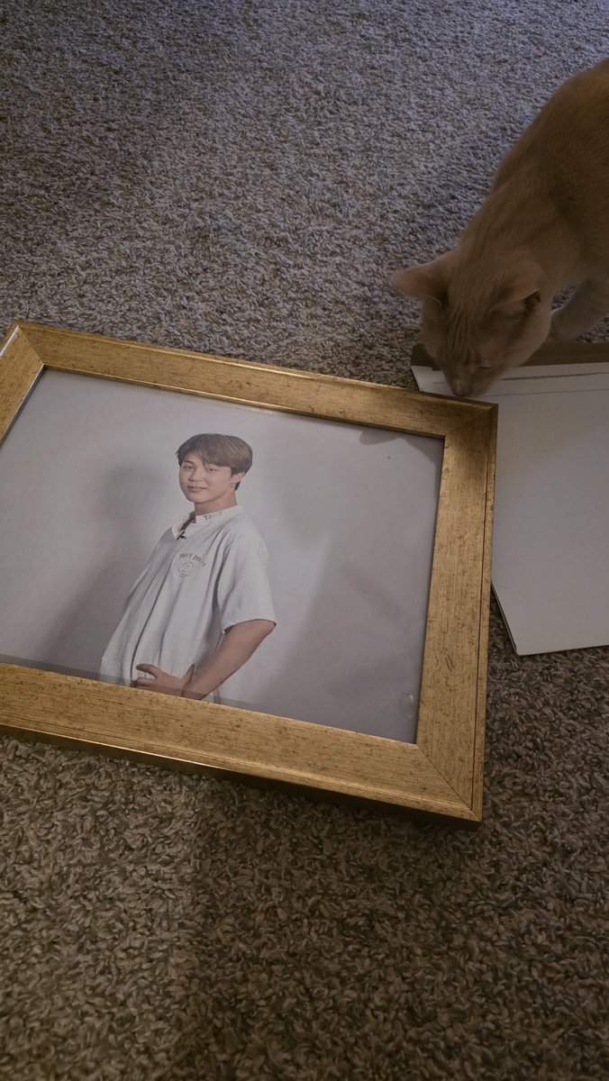 nevermined17's tweet photo. My coworker donated this frame to me. Obviously there was only one logical next step 🤭 https://t.co/qsMuk0VZbD