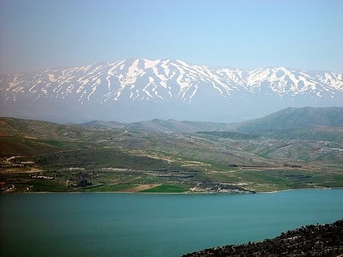 fadymozaya's tweet photo. انا مش مع مشروع جبل لبنان، انا جبل لبنان..
بشكركن على الاهتمام. 🌲🏛️ https://t.co/DwEemM3Wer