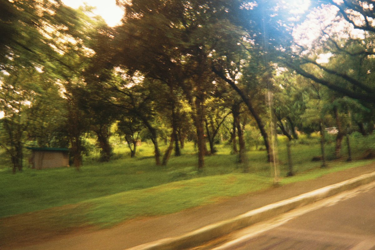 piandrist's tweet photo. everything is so yellow, i feel like i’m in a coming of age film https://t.co/2mL6GzL8eZ