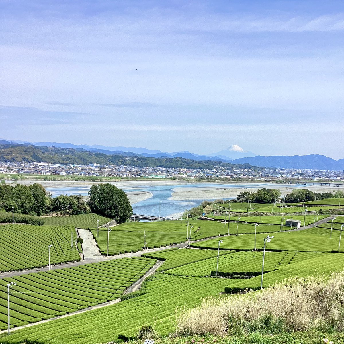 ShimadaCity's tweet photo. ＼お得に島田を満喫しよう✨／

対象施設の宿泊者限定🎁
「2,000円分」デジタルクーポン配付中！

使い方は簡単！
島田市LINE公式アカウントを友だち登録して、アンケートに回答するだけです💚
クーポンは市内対象店舗でご利用いただけます🛍️

▼詳細はこちら！
https://t.co/bextIx9m68 https://t.co/H5L93Esl9j