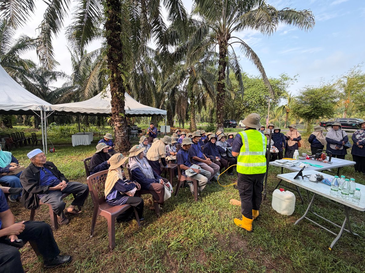 CPOPC_NET's tweet photo. CPOPC has successfully concluded its Good Agricultural Practices (GAP) Training for Smallholders in Teluk Intan, Perak, Malaysia, in collaborating with MPOB Malaysia  and supported by RPN Indonesia , bringing together around 80 independent oil palm smallholders. https://t.co/0PF84E13YQ