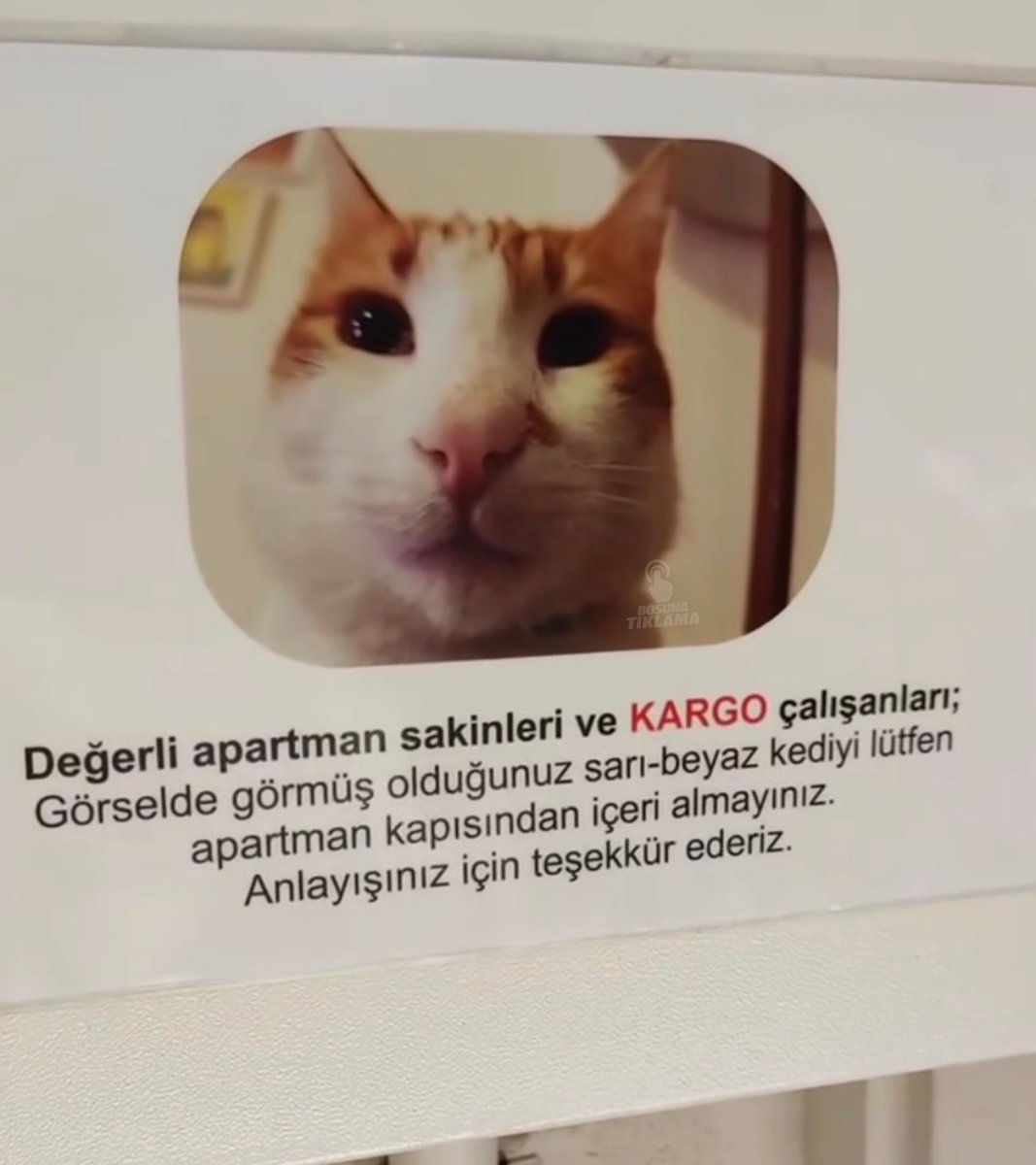 bosunatiklama's tweet photo. İstanbul'da bir apartmanın girişinde yer alan uyarı afişi: https://t.co/coM0oaHUoS