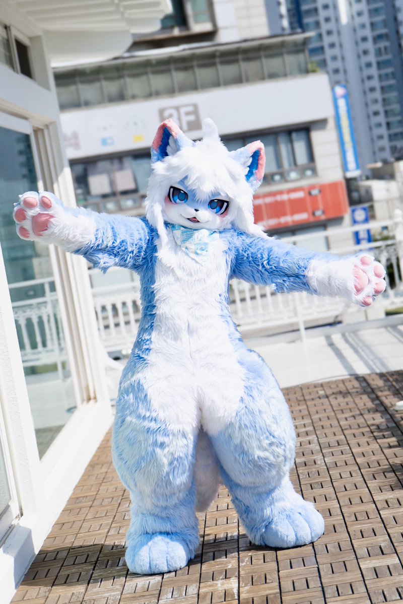 chavi_fur's tweet photo. 자, 와서 안겨 !

#FursuitFriday #fursuit https://t.co/Ur01oHXlUw
